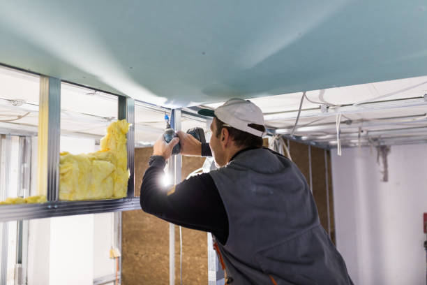 Best Residential Insulation in Hempstead, TX