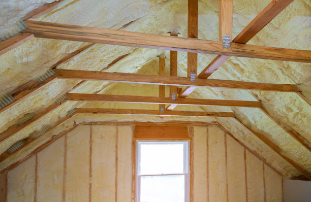 Best Eco-Friendly Insulation in Hempstead, TX