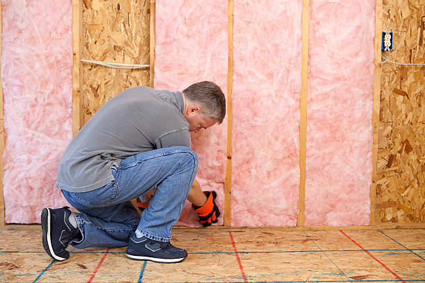 Best Cellulose Insulation in Hempstead, TX