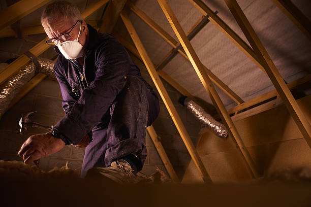 Types of Insulation We Offer in Hempstead, TX